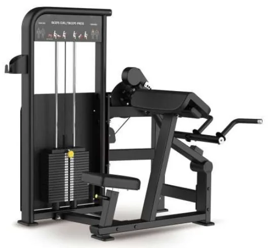 Biceps Curl / Triceps Press – BLY 0607