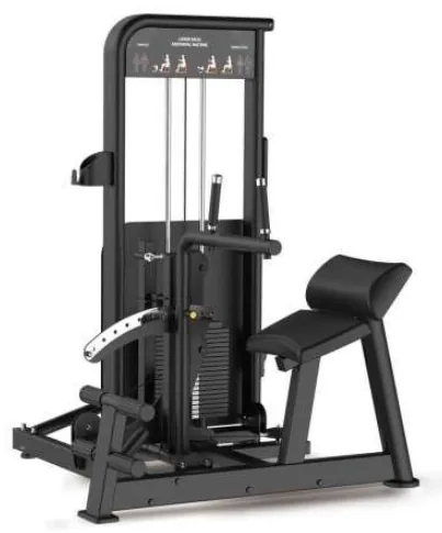 Lower Back / Abdominal Machine – BLY 0910