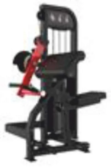 Biceps & Triceps – GC-5086
