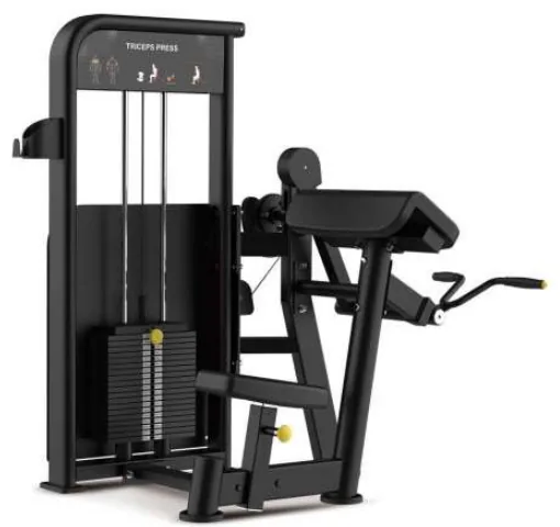 Biceps Curl – LY 006