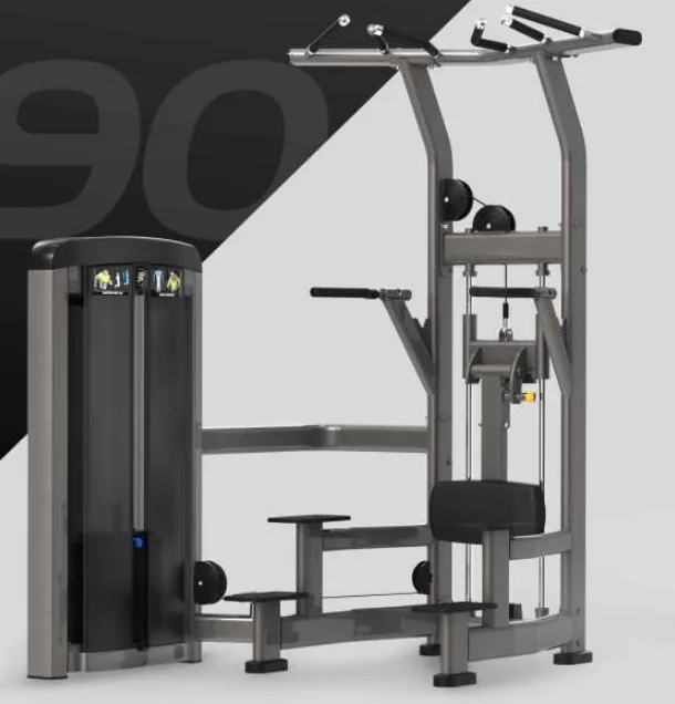 Assisted Chin/Dip – SF90 008