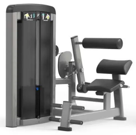 Lower Back – SF90 009