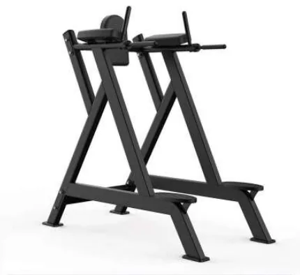 Vertical Knee Raise – TH-027