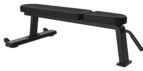 Flat Bench – TH-036