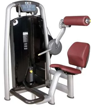 Back Extension – TZ-6006
