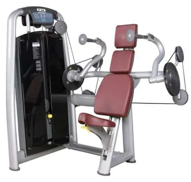 Triceps Extension – TZ-6011