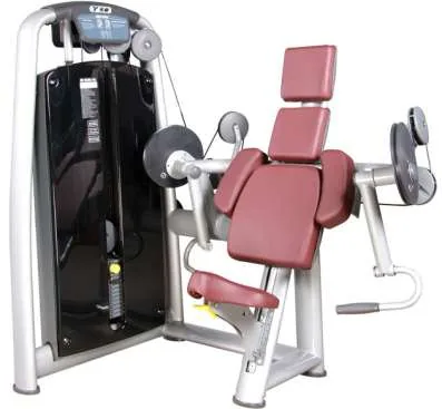 Biceps Curl – TZ-6013
