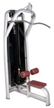 Lat Pulldown – TZ-6020