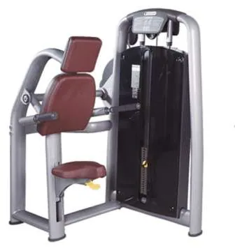 Triceps Machine – TZ-6050